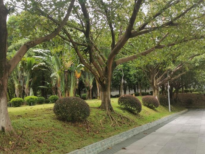 9f3c7cc8a60e59895479c33af5271ebe