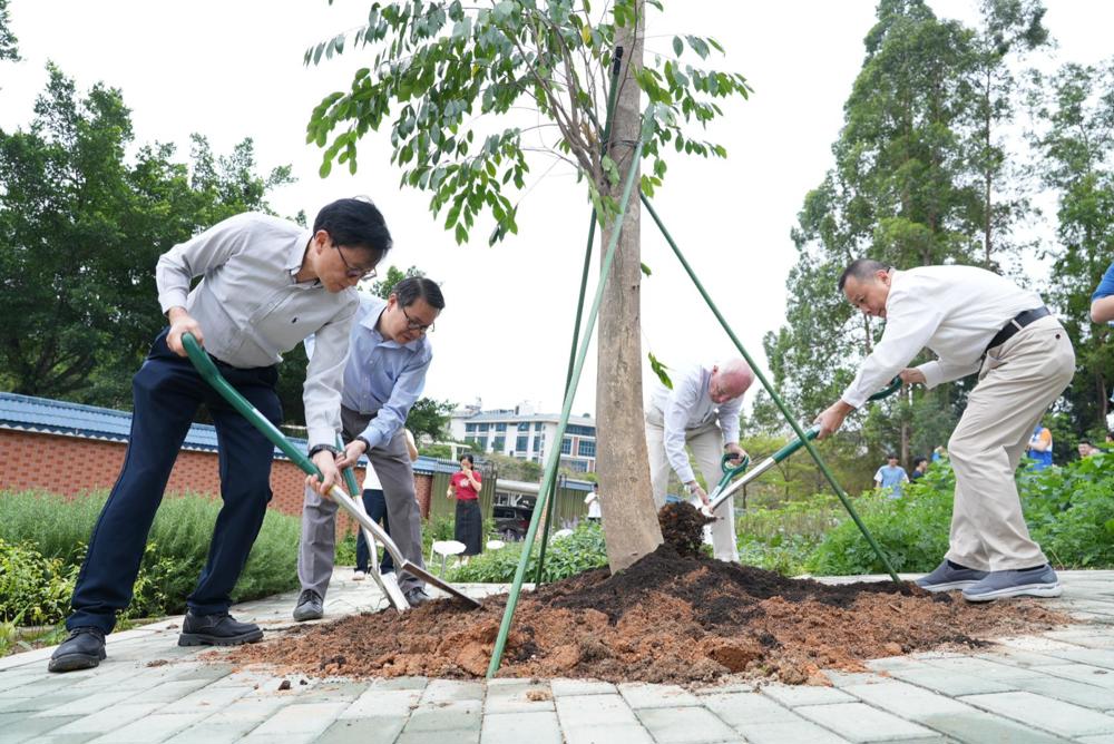 a46493c42a8be2e78df05bb882aaf19