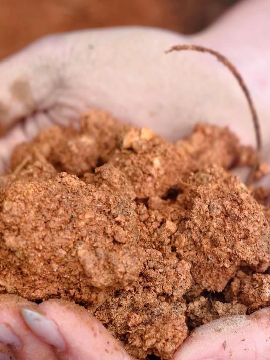 788feb5dae66348673c8588b35cbebb3