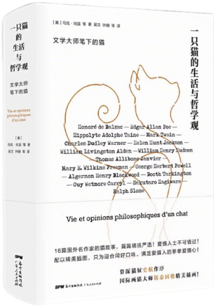 6.一只猫的生活与哲学观