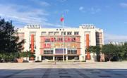 以书为阶，阅见成长——2025-2026学年图书馆阅读活动总结
